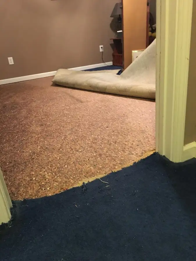 Carpet pad removal revealing water damage during Drying & Dehumidification in Utica